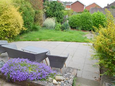 Picture 14